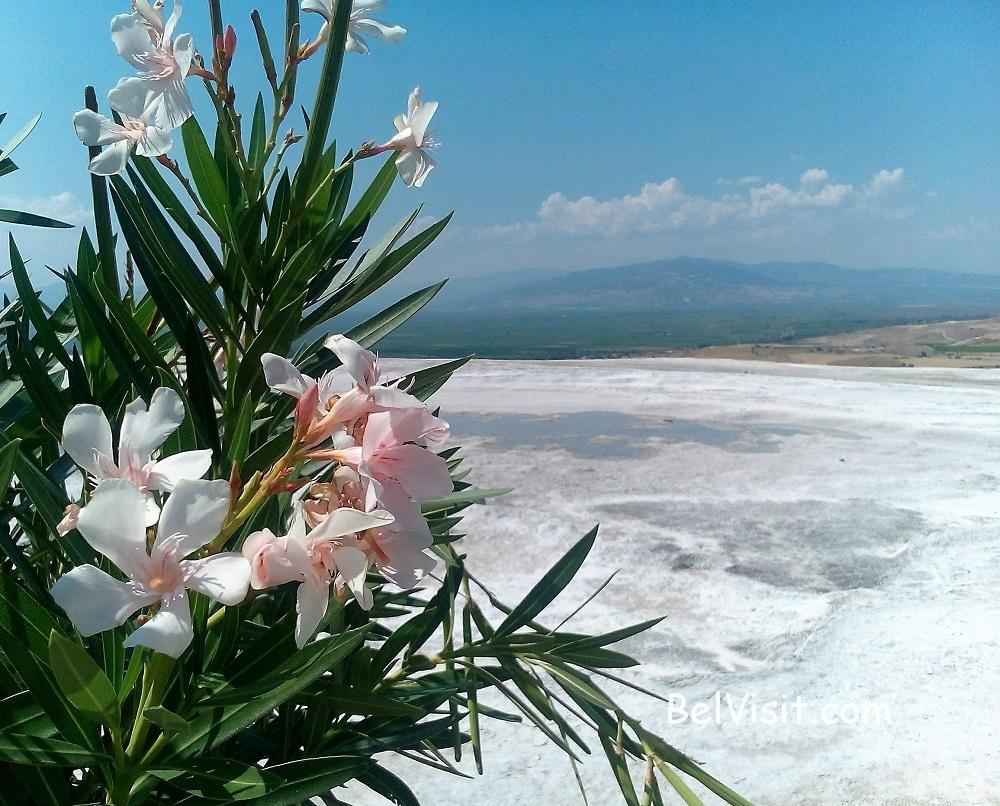 %D0%9F%D0%B0%D0%BC%D1%83%D0%BA%D0%BA%D0%B0%D0%BB%D0%B5 %D0%A2%D1%83%D1%80%D1%86%D0%B8%D0%B8 11 Как кричат петухи в турции