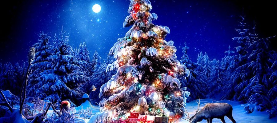 Новогодняя ель в лесу